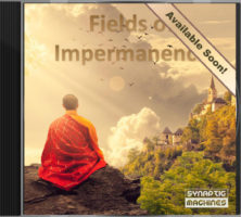 '"Fields of Impermanence" is a musical heaven for all those that enjoy calm music, that evokes nature and relaxing atmospheres.